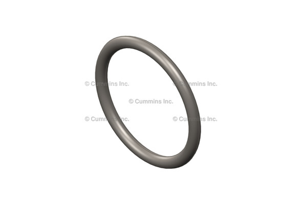 CUMMINS 117099 SEAL,O RING