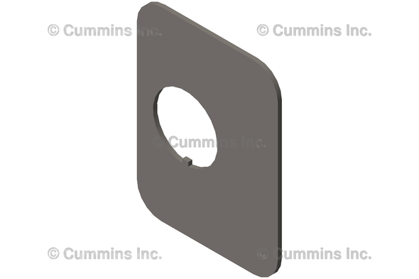 CUMMINS 118367 PLATE, CLAMPING