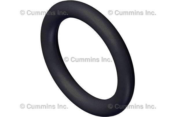 CUMMINS 3029820 O RING SEAL,  INJECTOR 98.5-02 5.9L 24V