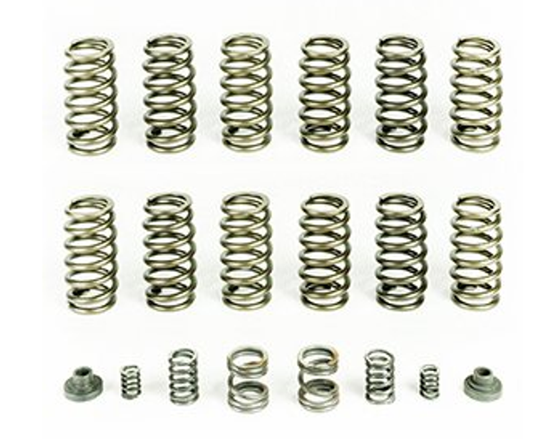 PACBRAKE HP10245 SPRING KIT (12 SPRINGS) FOR 1994-98 DODGE RAM 2500/3500 WITH P7100 INJECTION PUMP