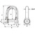 Wichard Self-Locking Allen Head Pin D Shackle - 6mm Diameter - 1\/4" [01303]