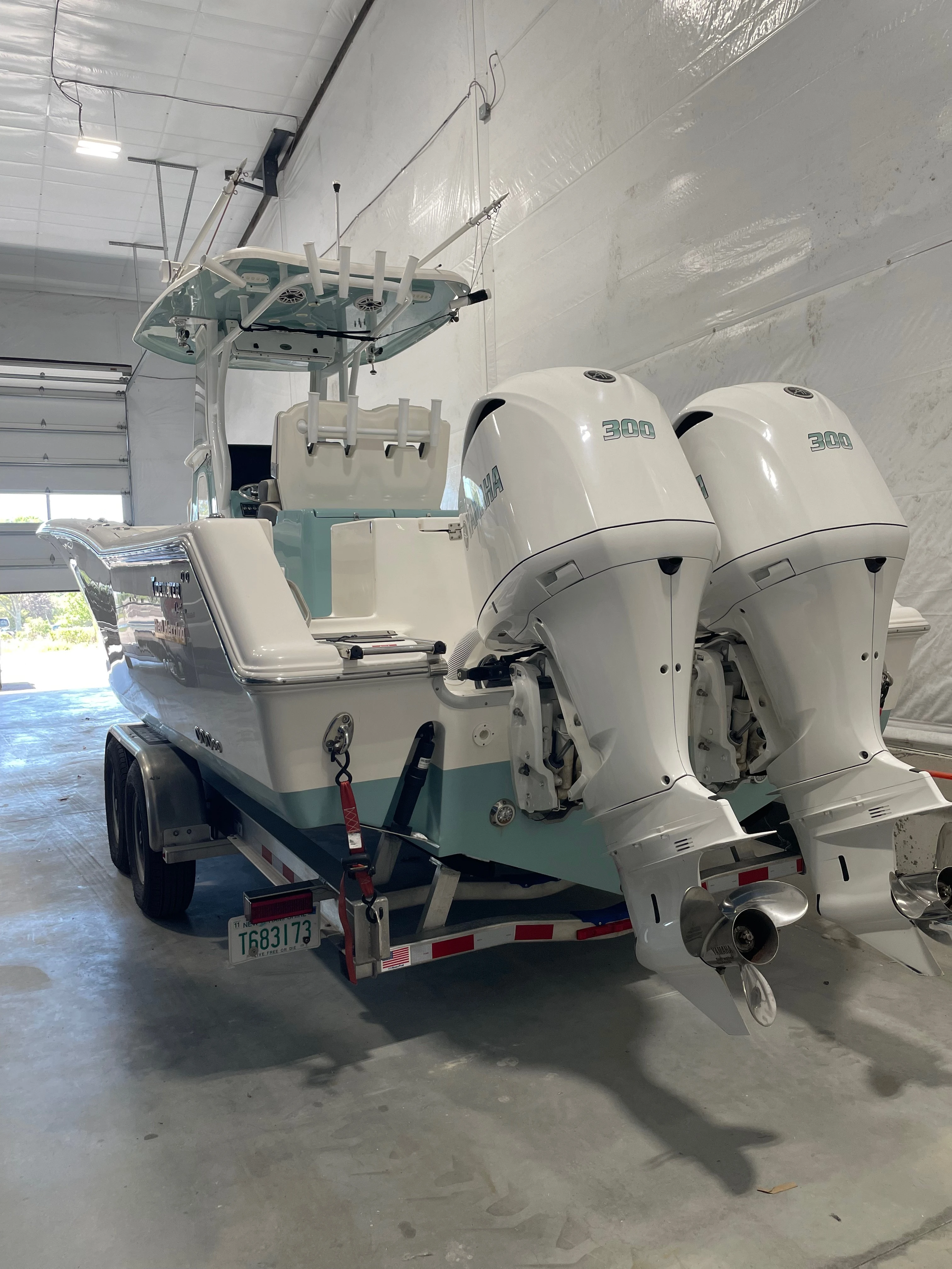 Seasonal outboard engine decommissioning by Seatoys Marine