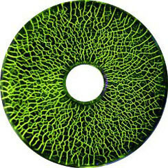 Test Bars & Test Pieces