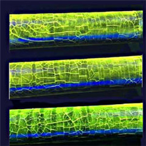 NDT Supply.com Cracked Test Bars