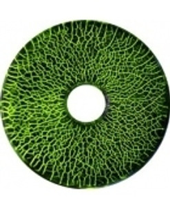 NDT Supply MTU-3