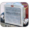 Grille Insert with 16 Louver-Style Bars for Peterbilt 359