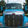 PET. 579 HOOD SHIELD BUG DEFLECTOR