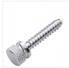 Chrome Short Dash Screw for Freightliner (2 Pack)