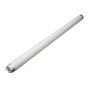 White Fluorescent Light-Grand General-49991