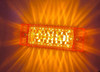 2" x 6" Rectangular 16 LED "STAR" Marker / Turn Signal Light