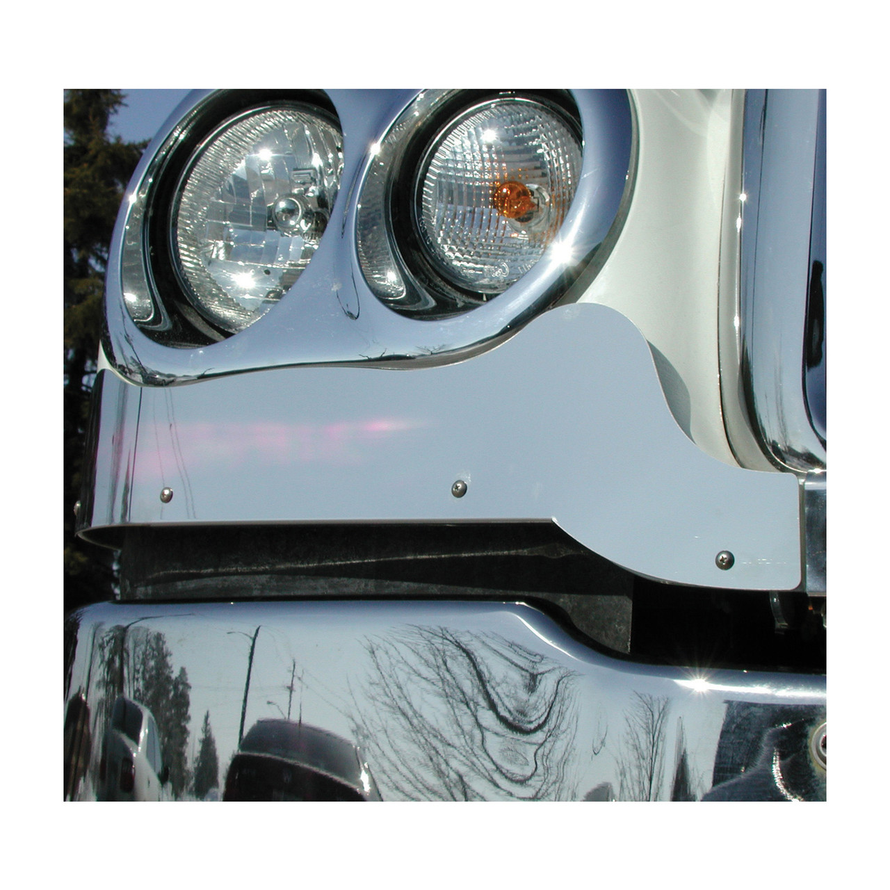 Freightliner - Coronado - Fender Guard