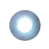 White LED Bullet License Plate Fastener (2 Pack)