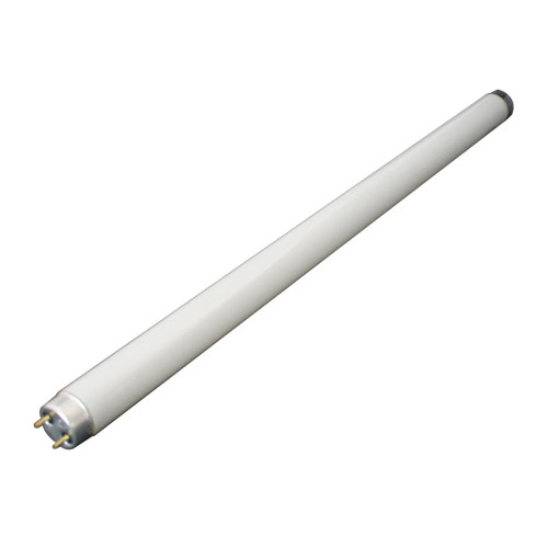 White Fluorescent Light-Grand General-49991