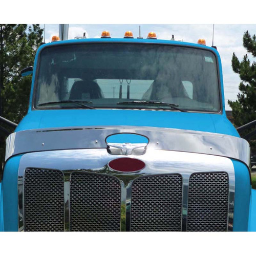 PET. 579 HOOD SHIELD BUG DEFLECTOR