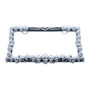 Chrome Skull License Plate Frame