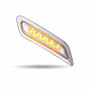 PETERBILT AMBER TURN & MARKER DOOR LED LIGHT - PASSENGER SIDE
