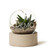 Copy of [Sample] Orbit Terrarium - Small