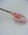 023P PESCI POLY/COTTON PARASOL - PINK
