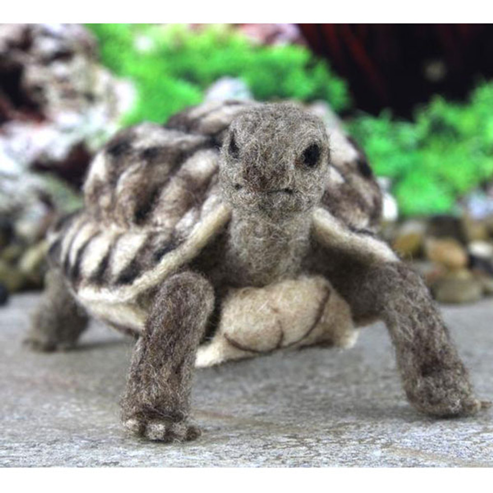 Wool Fish Tortoise Felt Kit, Needle Felt Kit Beginner