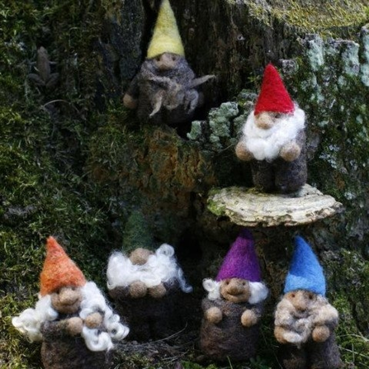 Download Going Gnome Felting Kit Mini Gnomes The Woolery