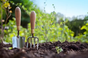 Plant the Rainbow: 3 Must-Haves for a Natural Dye Garden