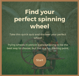 Take Our Quiz to Find Your Perfect Spinning Wheel