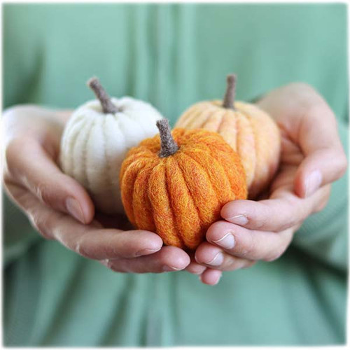 Needle Felting Pumpkins Kit The Woolery