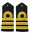Epaulette Curved hard 1 curl, 2 bar gold, Navel