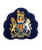 Kings Crown Warrant Officer Class 1 WO1 Royal Arms Rank Badge Royal Air Force RAF