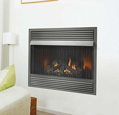 Napoleon 30,000 BTU Vent Free Zero Clearance Gas Fireplace, Propane -  GVF36-2P - Brandster.com