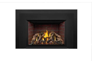 Napoleon Oakville Gas Fireplace Insert GDIX4