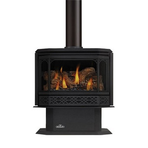 Napoleon Havelock GDS50-1NSB Natural Gas Painted Metallic Black Direct Vent Gas Stove