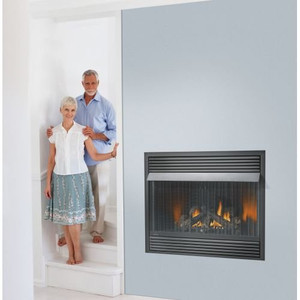 Napoleon GVF42 30,000 BTU Vent Free Zero Clearance Gas Fireplace, Propane