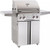 AOG 24" T Series Stand Alone Gas Grill with Rotisserie & Single Side Burner Gas Grill - Natural Gas
