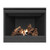 Napoleon Ascent Series Direct Vent Natural Gas Burning Fireplace