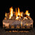 Peterson Real Fyre 30" Mountain Crest Oak Gas Log Set - MCO-30_G31-24/30-02P