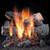 Fireside America 30" Windsor Premium Oak See Thru Gas Logs with Safety Pilot - NG