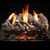 Fireside America Heritage Char Vent Free 24" Gas Logs with Variable Control - NG