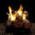 Empire Comfort Systems 24" Stone River Logset with MV VF/V Slope Glaze Vista Burner, LP