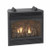 Empire Comfort Systems Vail 24" Intermittent Pilot Vent-Free 20k Fireplace - LP Empire Comfort Systems Vail 24" Intermittent Pilot Vent-Free 20k Fireplace - LP