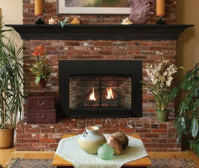 Empire Innsbrook Large Direct-Vent Clean Face IP Fireplace Insert - NG