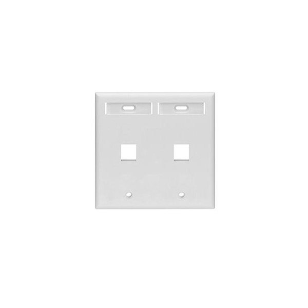Placa de Pared Quickport De 2 Puertos Blanco De Plástico