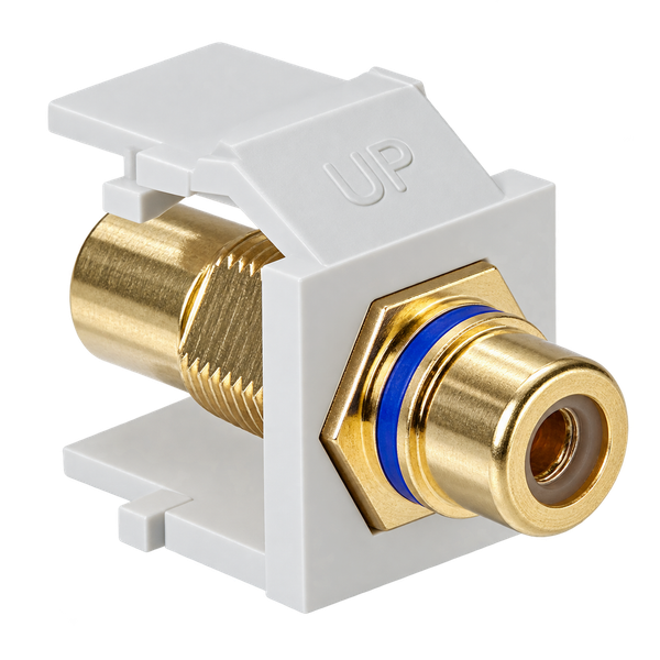 Conector QuickPort de Audio/Video RCA Alimentación Directa con Raya Azul Color Blanco