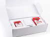Raspberry Pi 4 Desktop Kit - France
