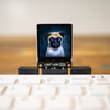 1.54" SPI Colour Square LCD (240x240) Breakout 1.54" SPI Colour Square LCD (240x240) Breakout