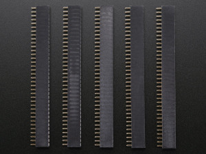 36-pin 0.1" Female Header - pack of 5!