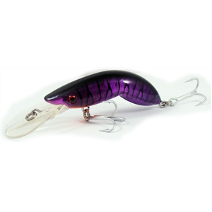 Tenterfield Shrimp 60mm Black/Purple
