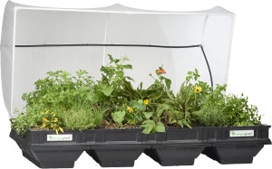 Vegepod-Large Raised Garden Bed with VegeCover 2m x 1m Vegepod-Large Raised Garden Bed with VegeCover 2m x 1m