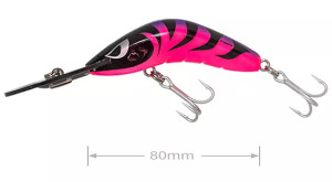 Boomerang 65 D/D Purple Thing Boomerang 65 D/D Purple Thing