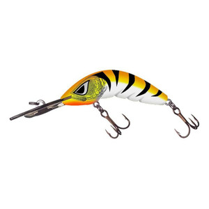 Boomerang 65 D/D Fire Tiger Boomerang 65 D/D Fire Tiger